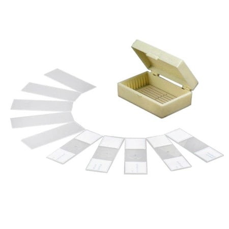 10pc Prepared And Blank Glass Microscope Slides In Plastic Case